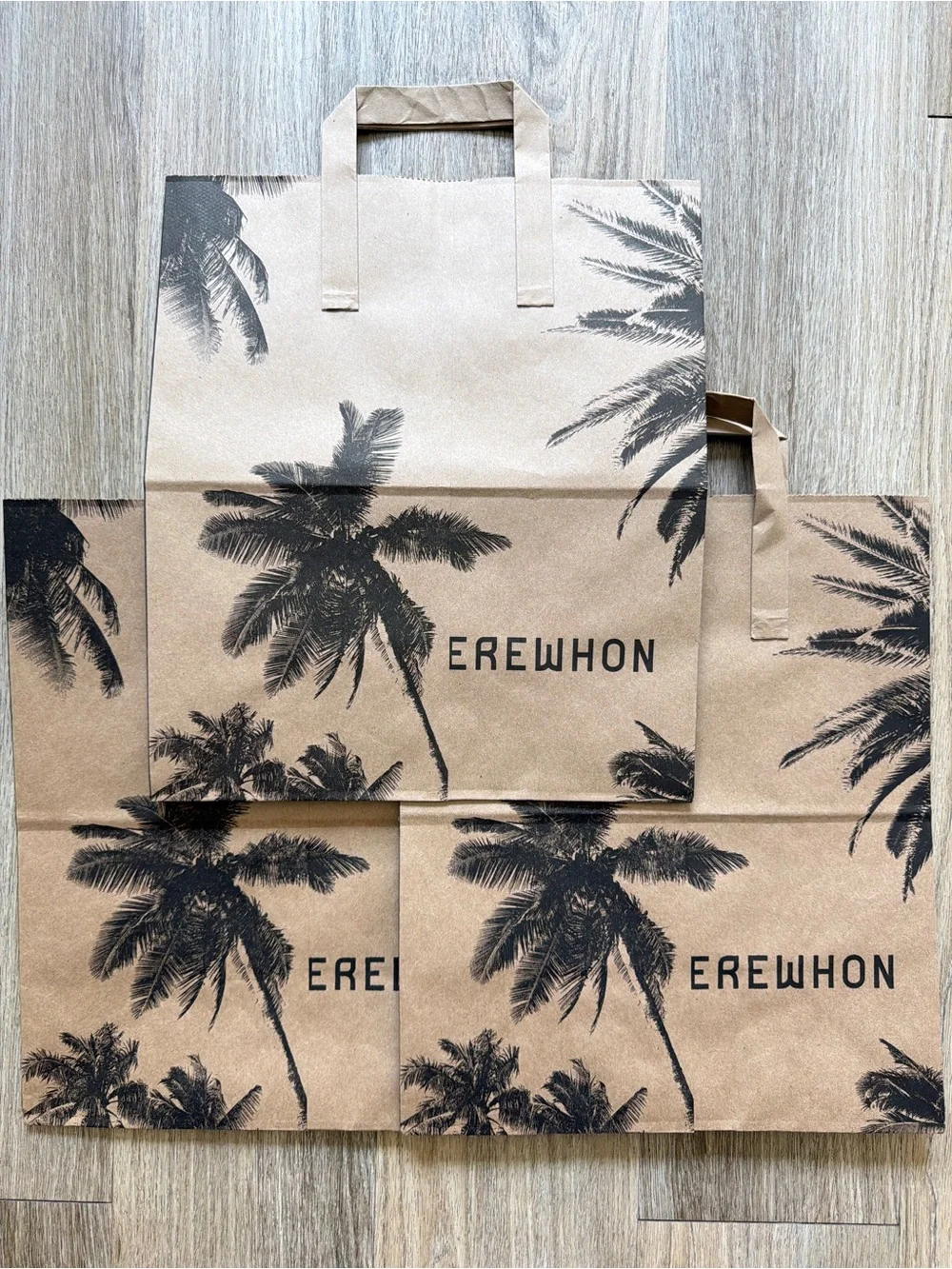 Erewhon Palm Tree Paper Shopping Bags Set of 3 Brown Black Los Angeles
